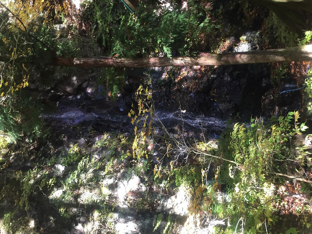 ניקו Tokiwa Ryokan מראה חיצוני תמונה